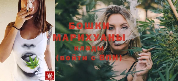 мдпв Вязники