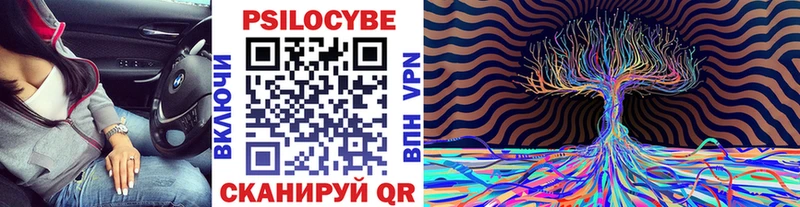 Галлюциногенные грибы Psilocybine cubensis  что такое   нарко площадка состав  Щёлково 