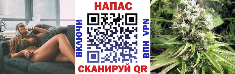 Бошки Шишки VHQ  Щёлково 